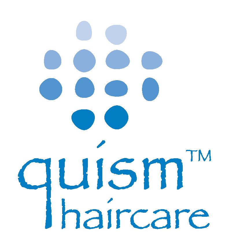 Quism Logo